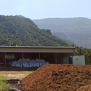 cocopeat-650gm-5