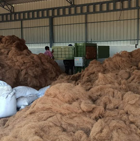 coir-fibre-2