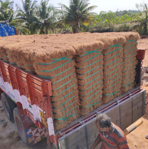 coir-fibre-4